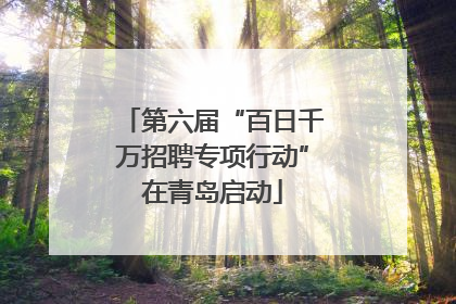 第六届“百日千万招聘专项行动”在青岛启动