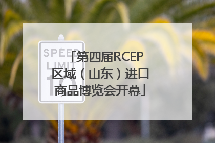 第四届RCEP区域（山东）进口商品博览会开幕