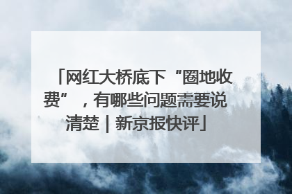 网红大桥底下“圈地收费”，有哪些问题需要说清楚｜新京报快评