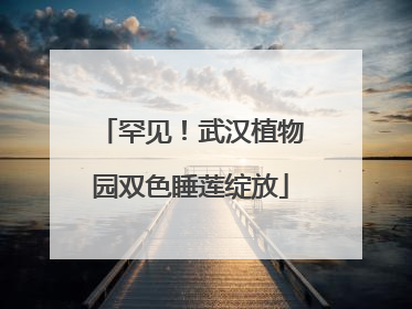 罕见！武汉植物园双色睡莲绽放