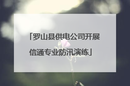 罗山县供电公司开展信通专业防汛演练