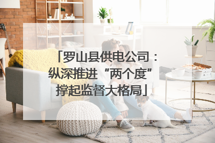 罗山县供电公司：纵深推进“两个度” 撑起监督大格局