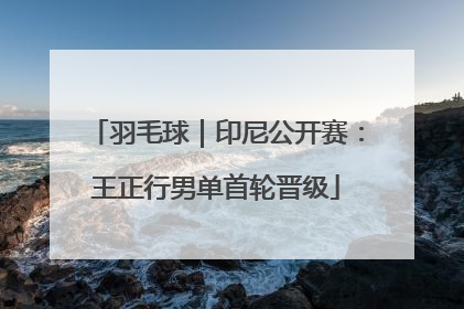 羽毛球｜印尼公开赛：王正行男单首轮晋级