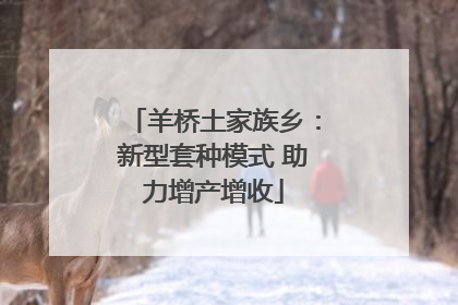 羊桥土家族乡：新型套种模式 助力增产增收