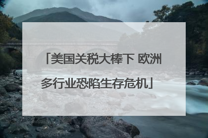美国关税大棒下 欧洲多行业恐陷生存危机