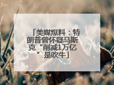 美媒爆料：特朗普曾怀疑马斯克“削减1万亿”是吹牛