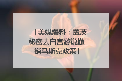美媒爆料：盖茨秘密去白宫游说撤销马斯克政策