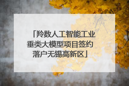 羚数人工智能工业垂类大模型项目签约落户无锡高新区