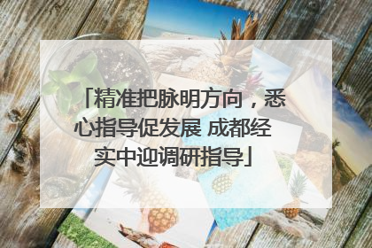 精准把脉明方向，悉心指导促发展 成都经实中迎调研指导