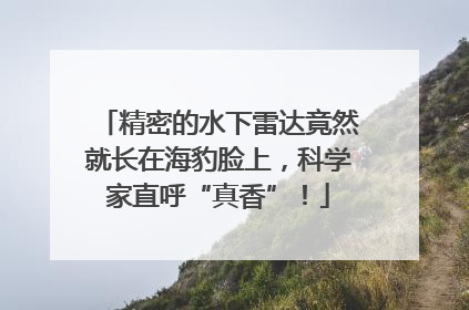 精密的水下雷达竟然就长在海豹脸上，科学家直呼“真香”！
