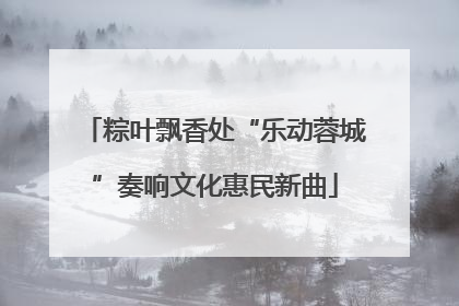 粽叶飘香处“乐动蓉城”奏响文化惠民新曲