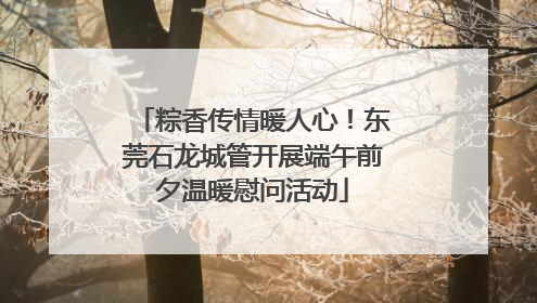 粽香传情暖人心！东莞石龙城管开展端午前夕温暖慰问活动