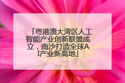 粤港澳大湾区人工智能产业创新联盟成立，南沙打造全球AI产业新高地