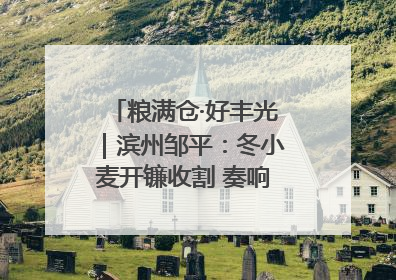 粮满仓·好丰光｜滨州邹平：冬小麦开镰收割 奏响夏日丰收曲