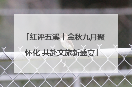 红评五溪丨金秋九月聚怀化 共赴文旅新盛宴