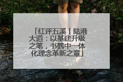 红评五溪丨陆港大道：以基建升级之笔，书鹤中一体化理念革新之章
