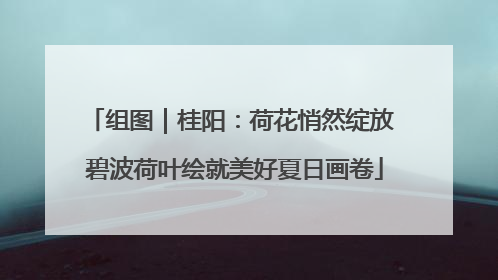 组图｜桂阳：荷花悄然绽放 碧波荷叶绘就美好夏日画卷