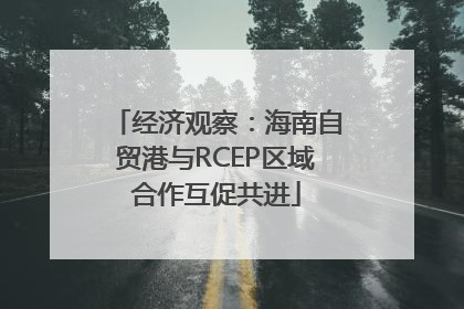 经济观察：海南自贸港与RCEP区域合作互促共进