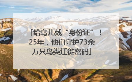 给鸟儿戴“身份证”！25年，他们守护73余万只鸟类迁徙密码