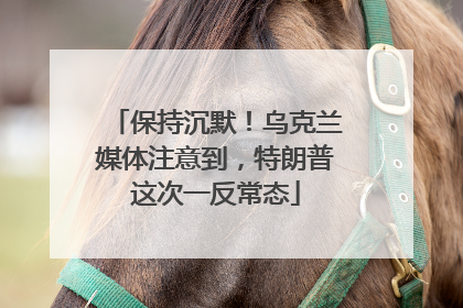 保持沉默！乌克兰媒体注意到，特朗普这次一反常态