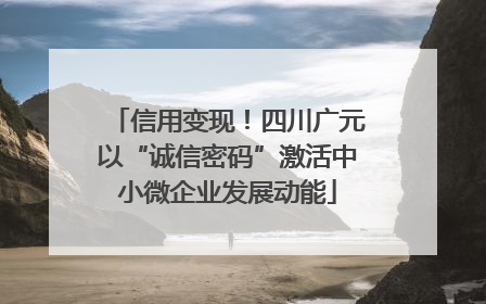 信用变现！四川广元以“诚信密码”激活中小微企业发展动能