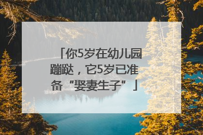 你5岁在幼儿园蹦跶，它5岁已准备“娶妻生子”