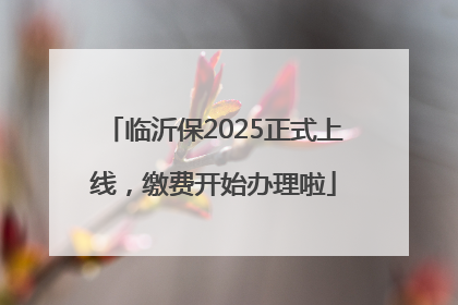临沂保2025正式上线，缴费开始办理啦