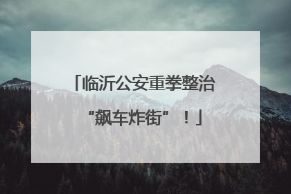 临沂公安重拳整治“飙车炸街”！