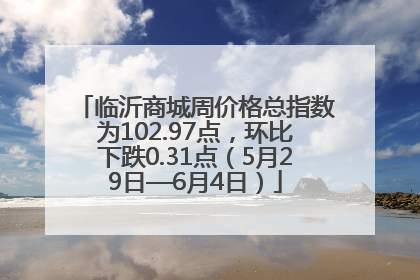 临沂商城周价格总指数为102.97点，环比下跌0.31点（5月29日—6月4日）