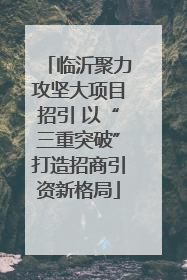 临沂聚力攻坚大项目招引 以“三重突破”打造招商引资新格局