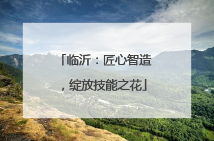 临沂：匠心智造，绽放技能之花