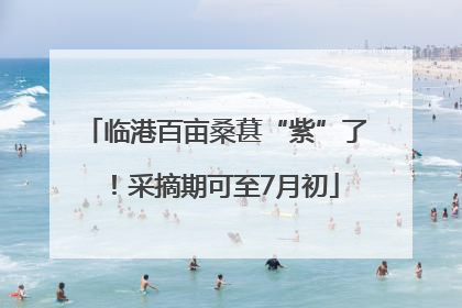 临港百亩桑葚“紫”了！采摘期可至7月初
