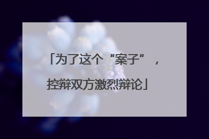为了这个“案子”，控辩双方激烈辩论