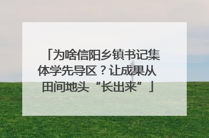 为啥信阳乡镇书记集体学先导区？让成果从田间地头“长出来”