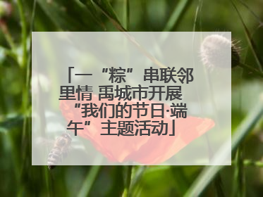 一“粽”串联邻里情 禹城市开展“我们的节日·端午”主题活动