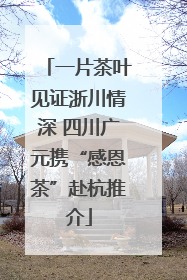 一片茶叶见证浙川情深 四川广元携“感恩茶”赴杭推介