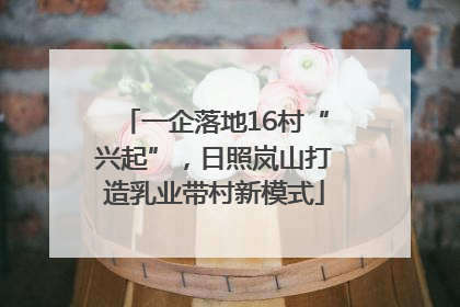 一企落地16村“兴起”，日照岚山打造乳业带村新模式