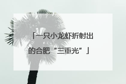 一只小龙虾折射出的合肥“三重光”