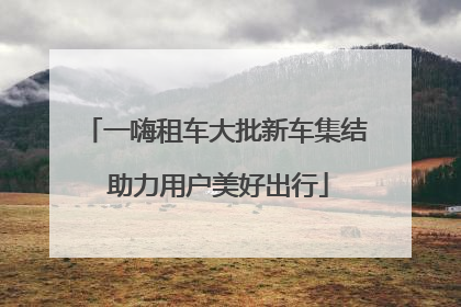 一嗨租车大批新车集结 助力用户美好出行