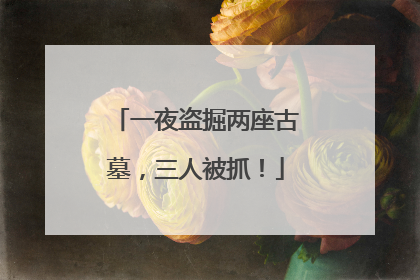 一夜盗掘两座古墓，三人被抓！