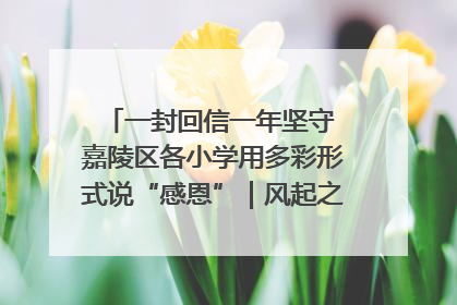 一封回信一年坚守 嘉陵区各小学用多彩形式说“感恩”｜风起之江 扶摇直上