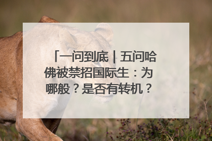 一问到底｜五问哈佛被禁招国际生：为哪般？是否有转机？学生怎么办？