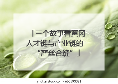 三个故事看黄冈人才链与产业链的“严丝合缝”