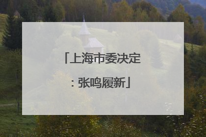 上海市委决定：张鸣履新