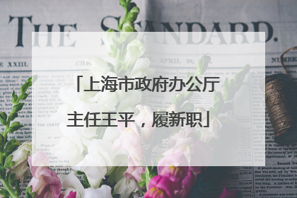 上海市政府办公厅主任王平，履新职