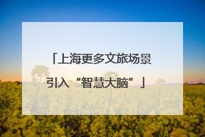 上海更多文旅场景引入“智慧大脑”