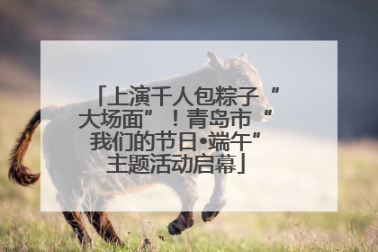 上演千人包粽子“大场面”！青岛市“我们的节日•端午”主题活动启幕
