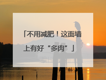 不用减肥！这面墙上有好“多肉”