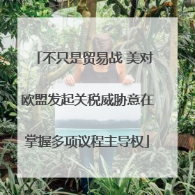 不只是贸易战 美对欧盟发起关税威胁意在掌握多项议程主导权