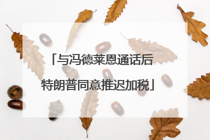 与冯德莱恩通话后 特朗普同意推迟加税